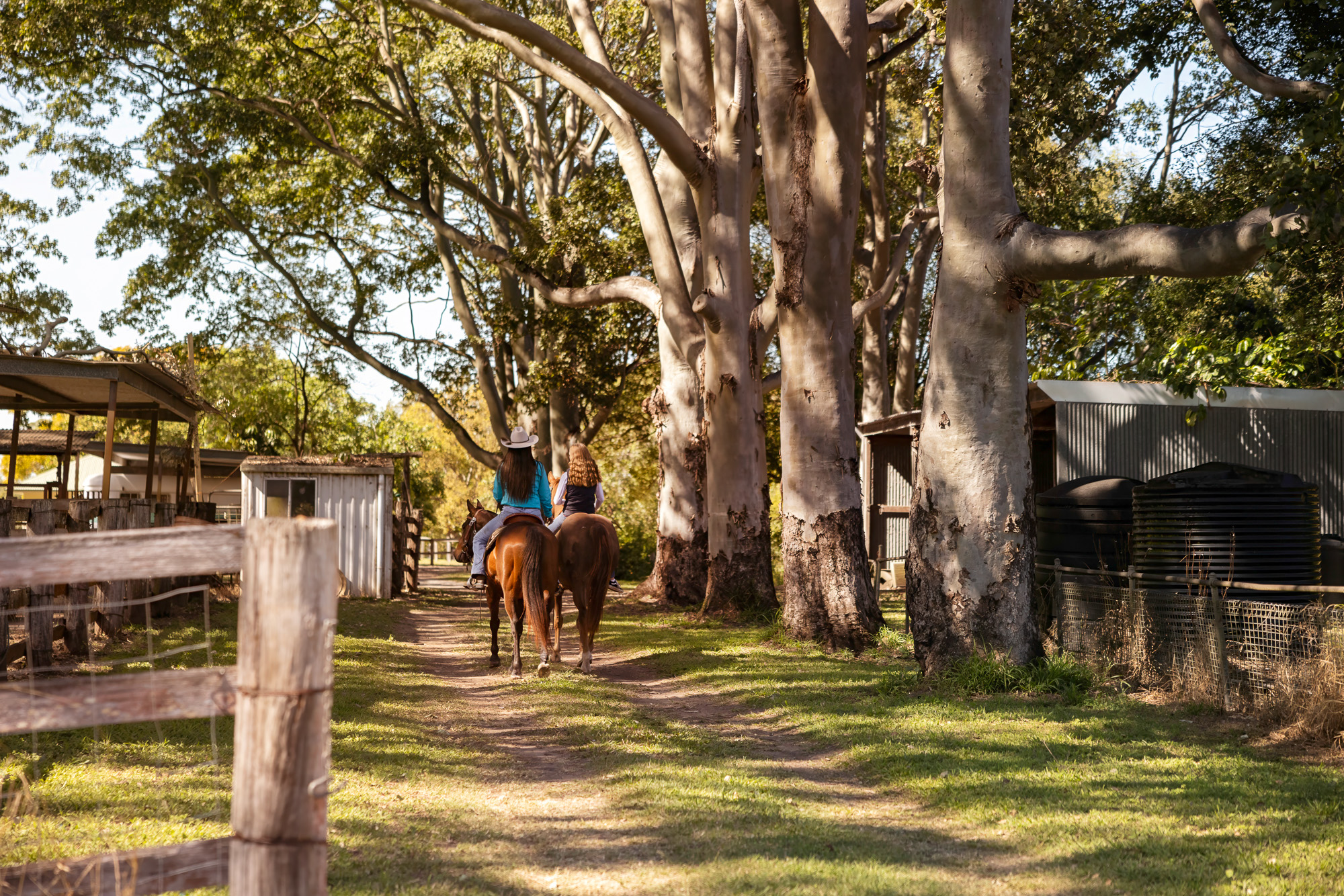113 Sunridge Road, EUDLO  QLD  4554