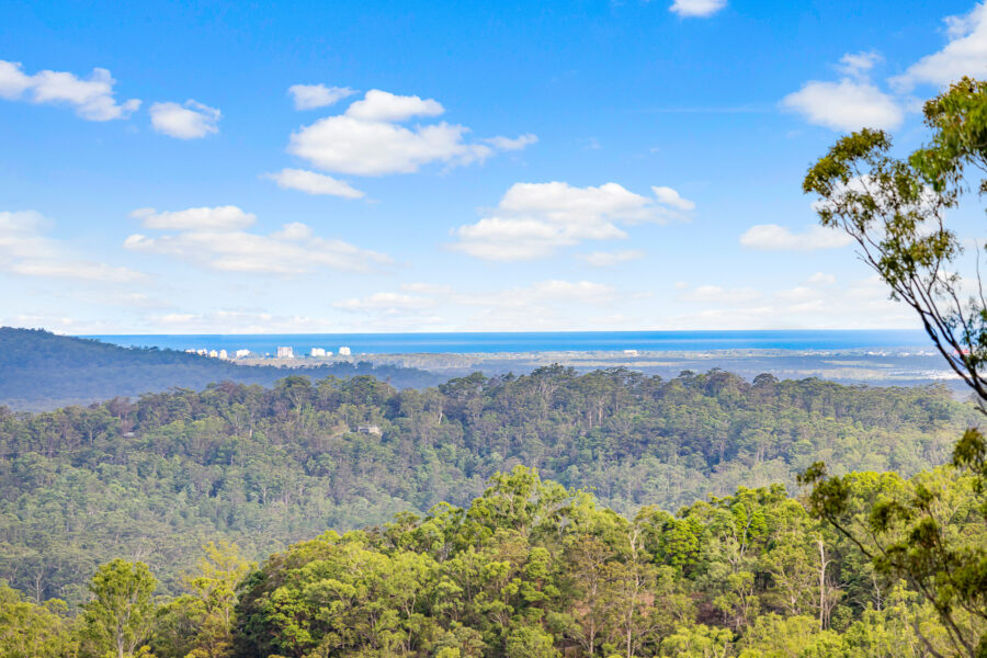 269-Diamond-Valley-Road-DIAMOND-VALLEY-QLD-4553-1