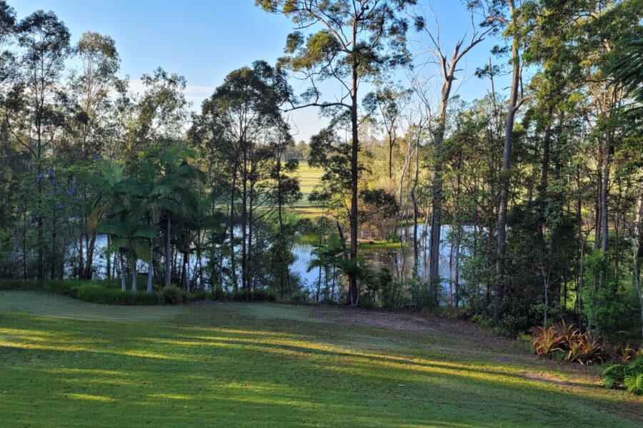 46769001__1637719019-9236-170Schrodter1