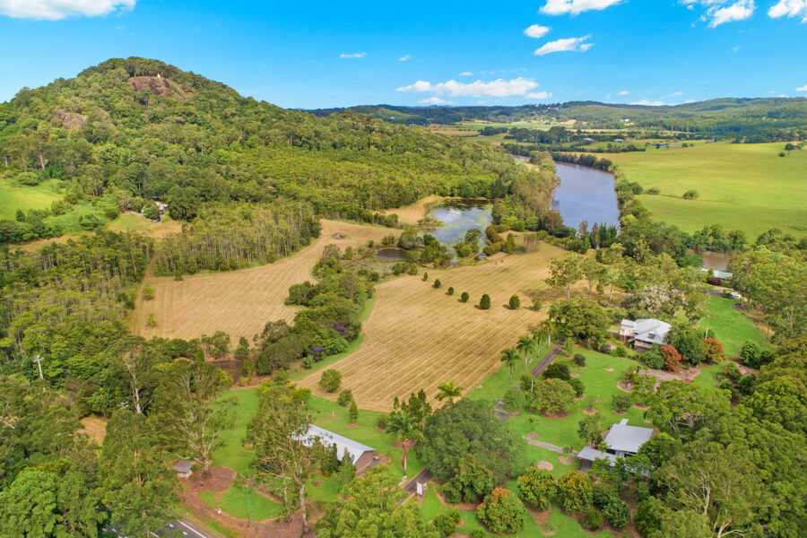 53427647__1649115845-10571-1