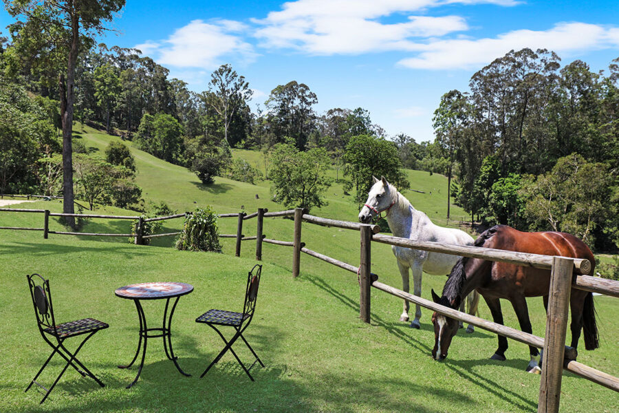 mydimport-1599384417-hires.26826-1