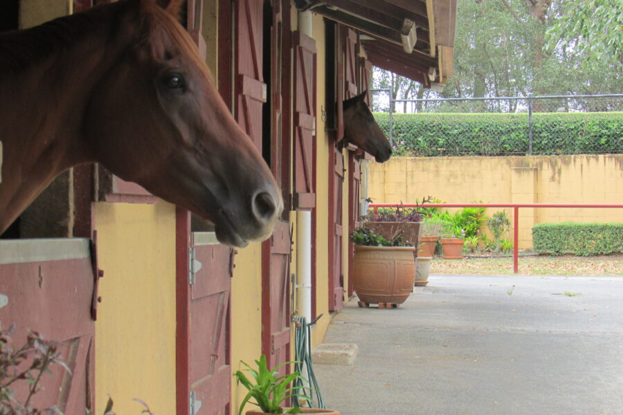 mydimport-1599384417-hires.28285-001IMG0012