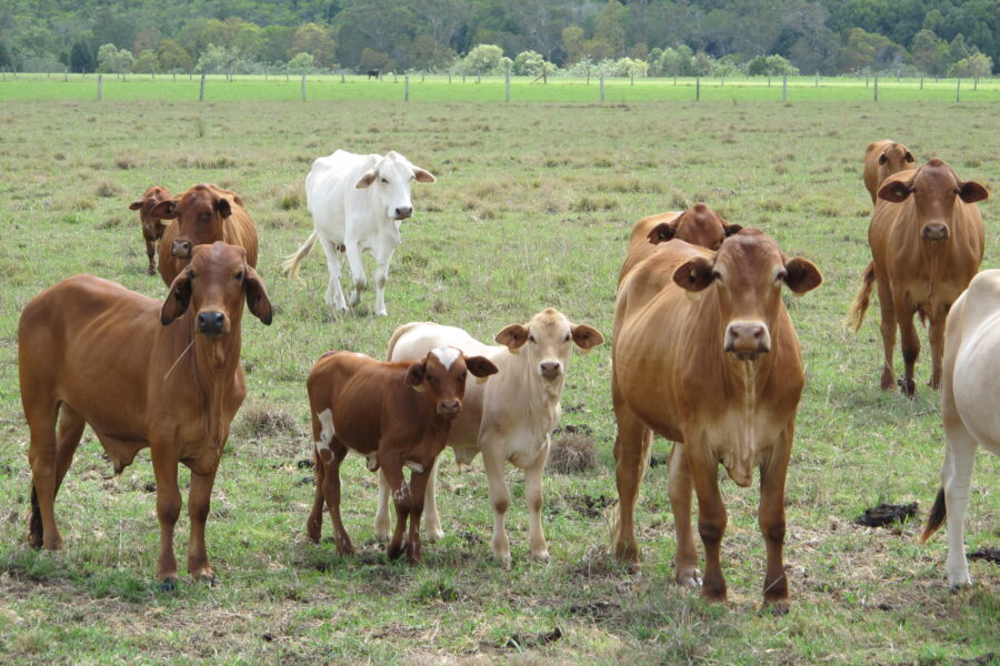 mydimport-1599384417-hires.32455-001IMG2391